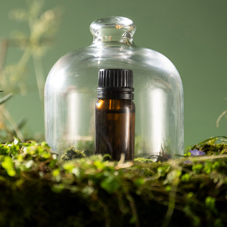Herbal Medicine