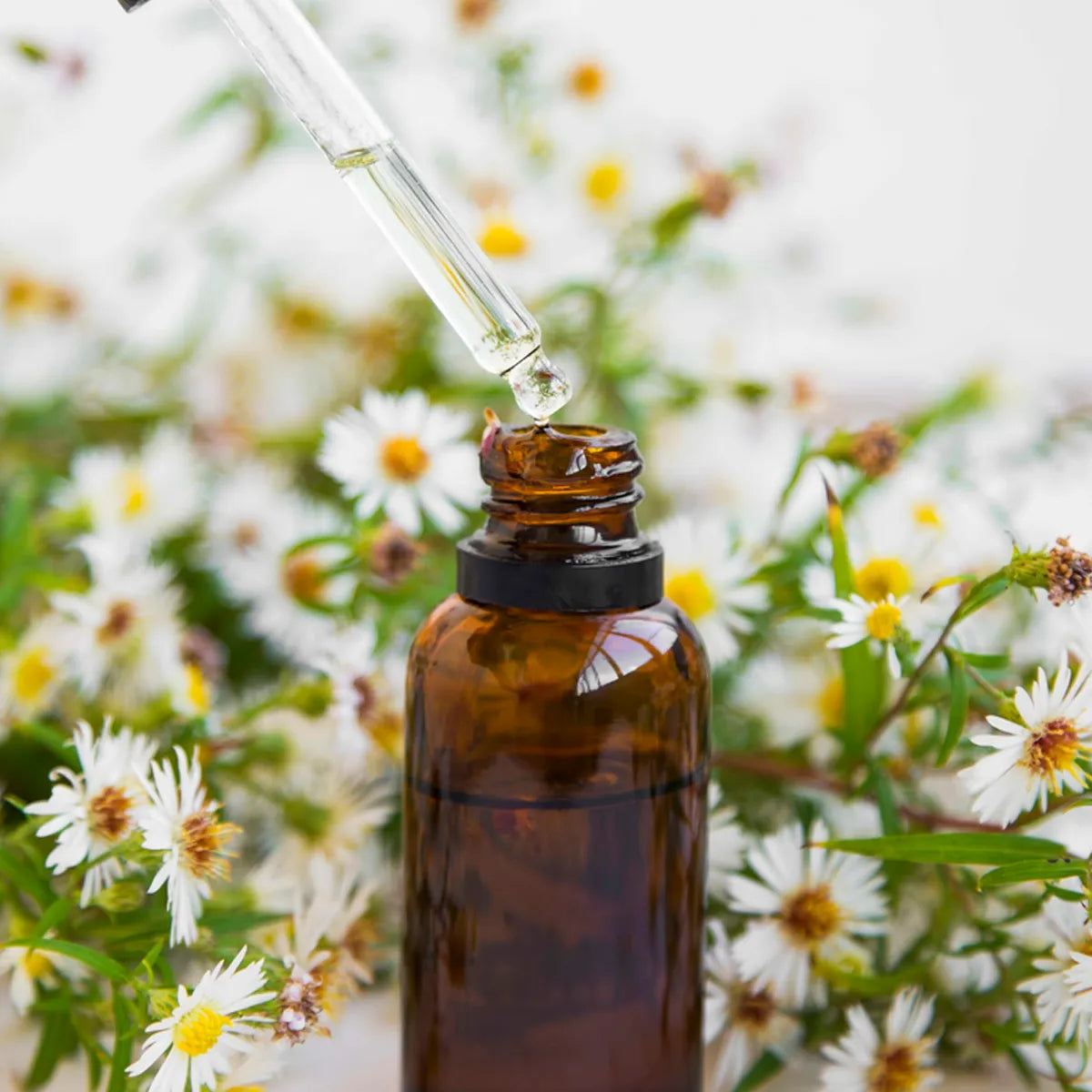 Sleep & Stress Remedies Course