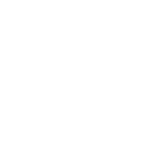 Get VIP Support for Faster Success