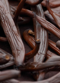Caramelized Vanilla Ganache