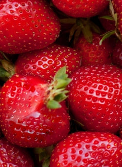 Strawberry Gel Recipe