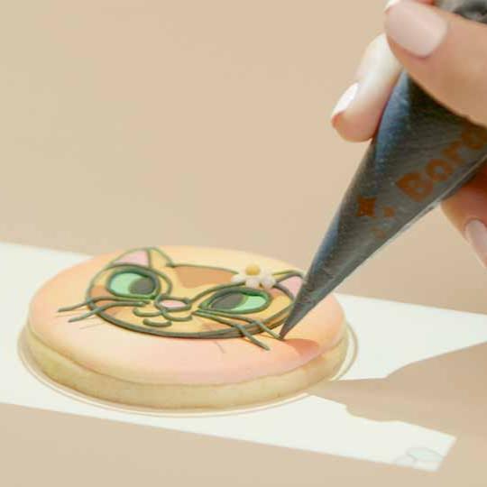 Precise Projector Designs