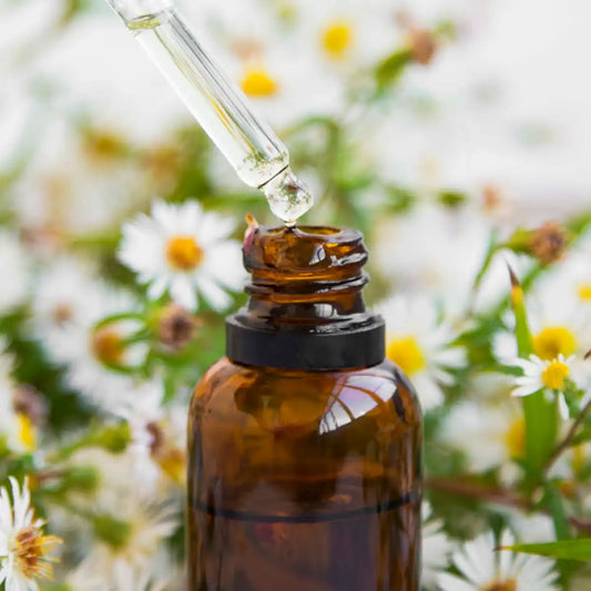 All-in-One Wellness Package