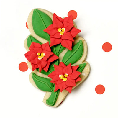 Poinsettia Bliss
