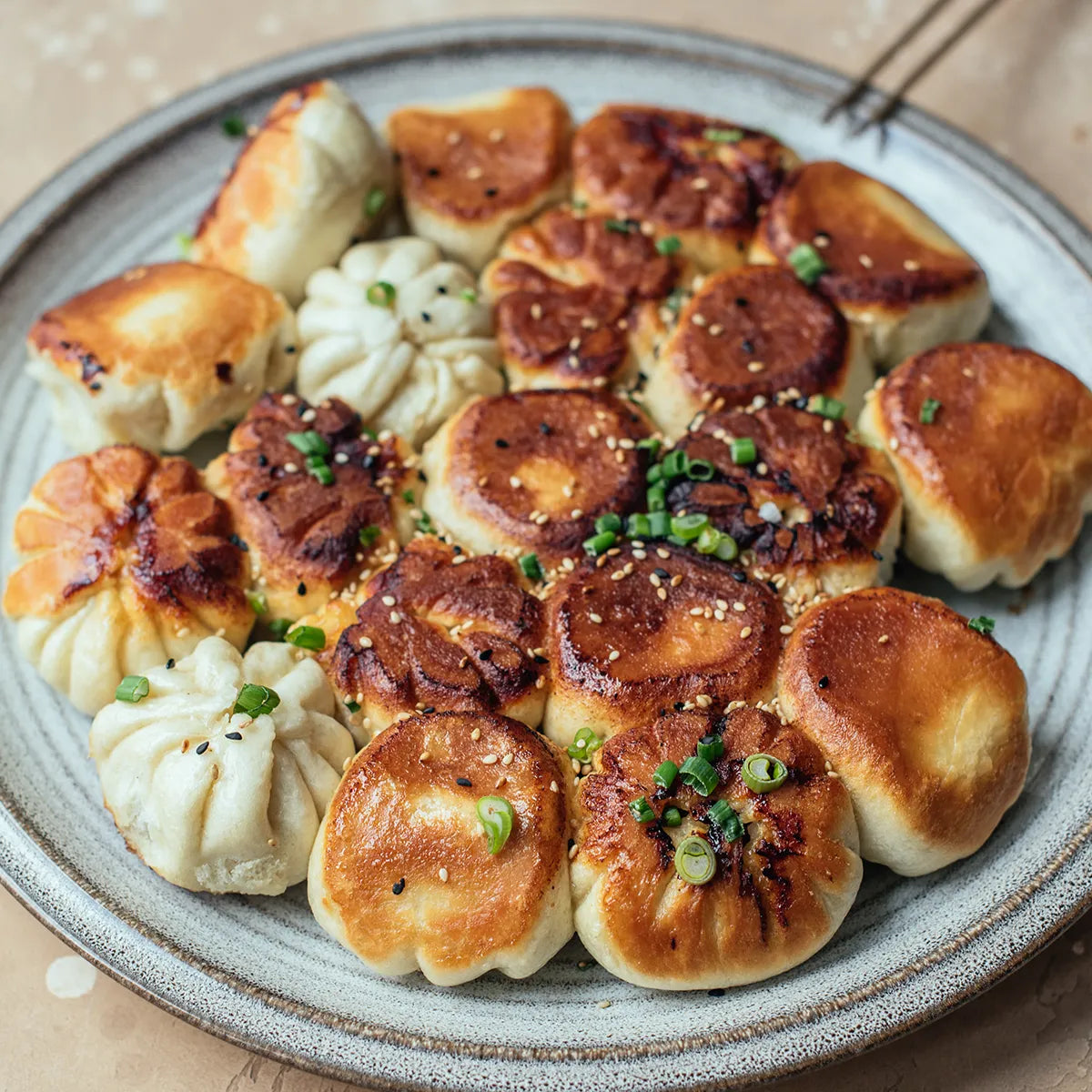 Pan Fried Dumplings