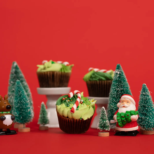 Baker Bundle - Holiday Cupcakes