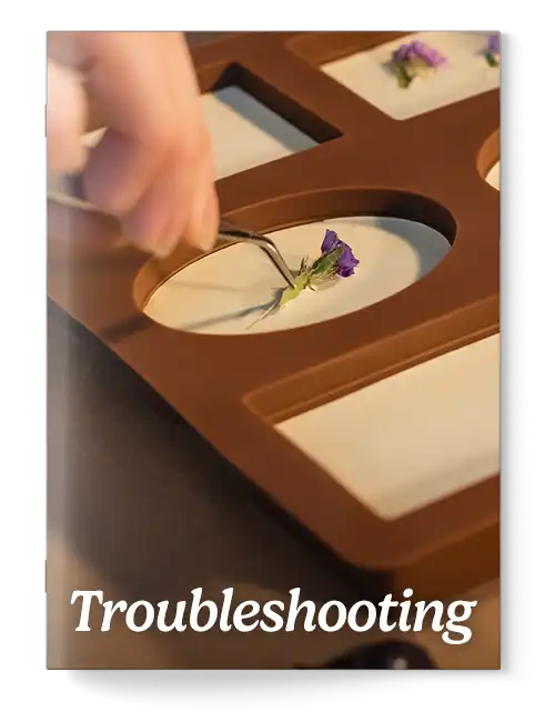 Perfect Chocolate Tempering